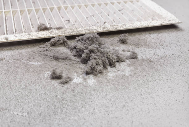 Best Commercial Air Duct Cleaning  in New Martinsville, WV