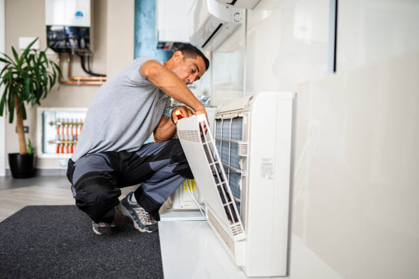 Best Air Duct Mold Removal  in New Martinsville, WV